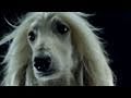 Swedish House Mafia - Save The World (Official Music Video)
